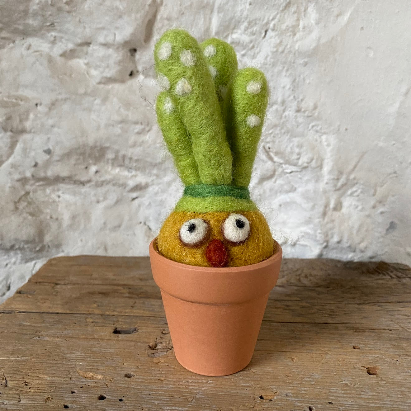 monster plant pot Monster Plant