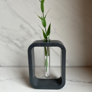 Plant Vase