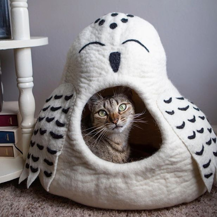 Cat Cave
